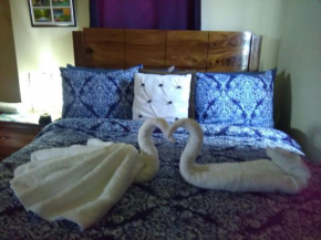 Hotels in Falmouth